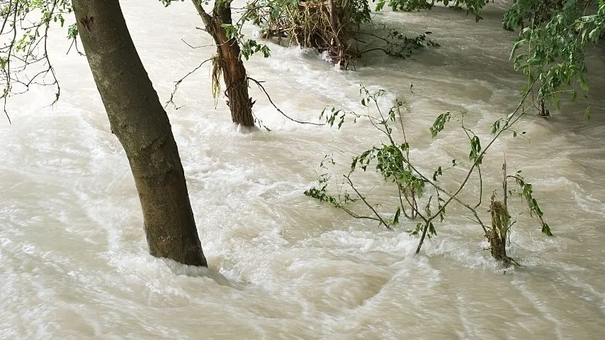 Heavy rainfall and flooding is one of the reasons that damages the soil structure