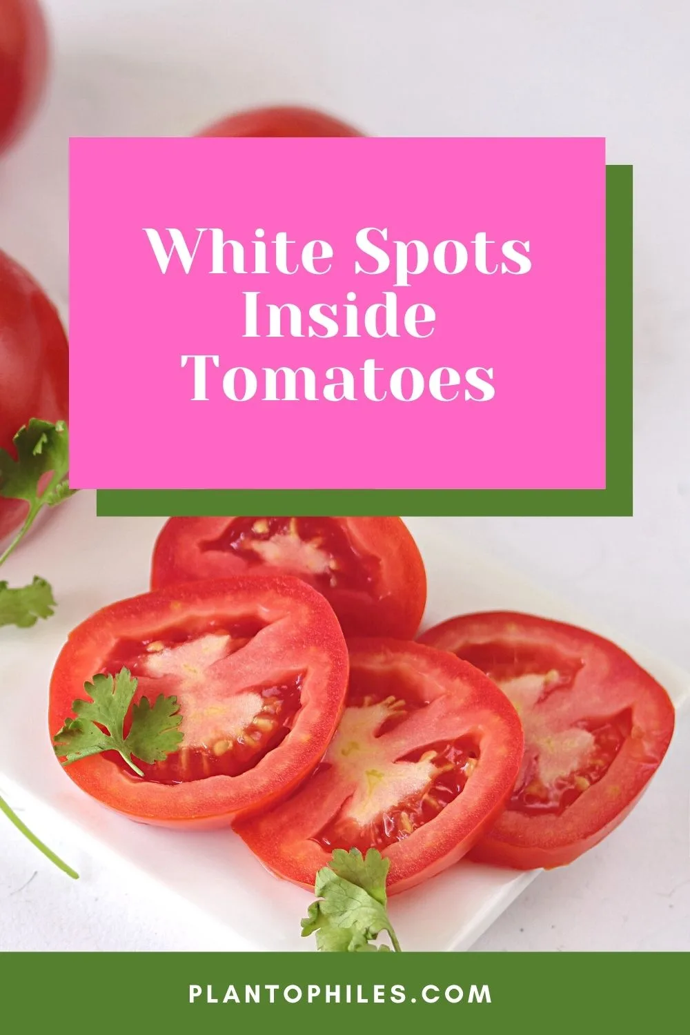White Spots Inside Tomatoes