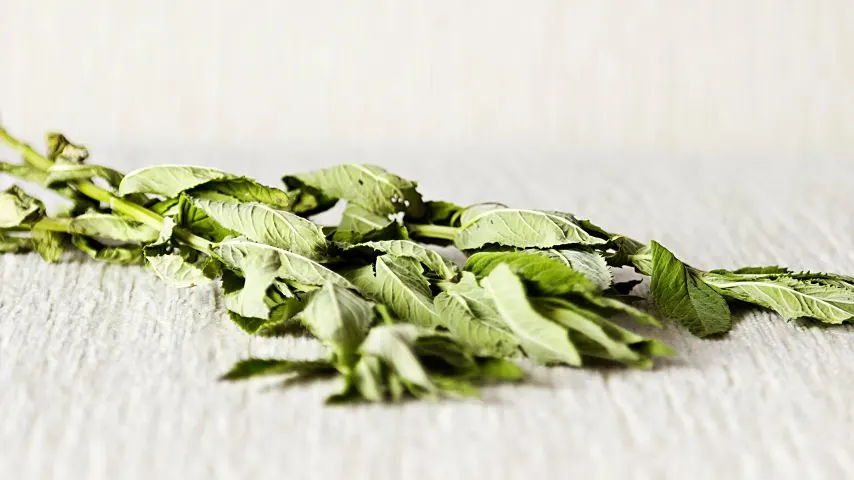 To preserve mint for much longer, you need to dry it rather than place it in a glass of water