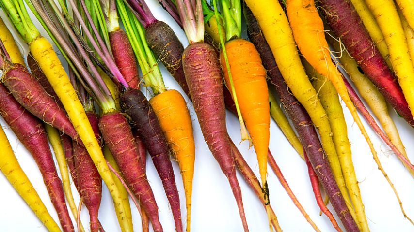 Carrots are great companion plants for sage as they both enhance each other's flavor profile