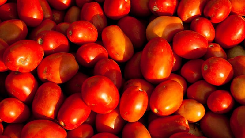 Despite its name, Roma tomatoes never were developed in Italy or Rome