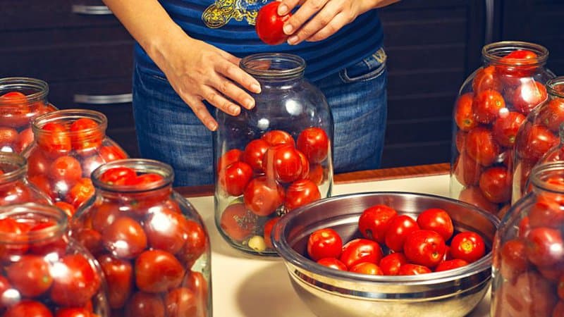 Determinate tomatoes are used for commercially canned tomatoes due to their practical scheduling