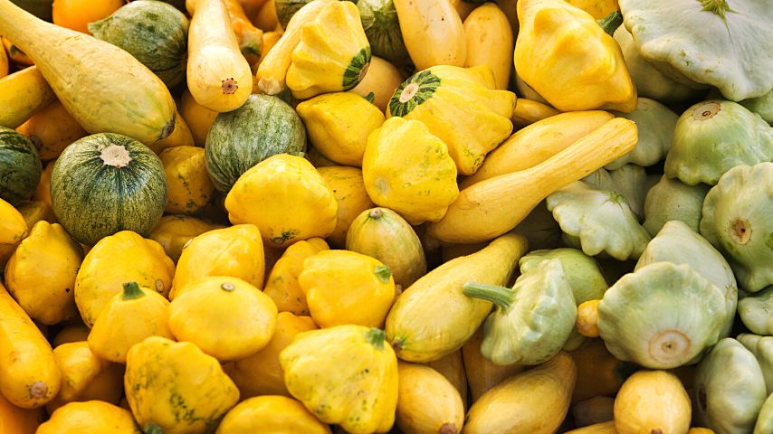 Squash is another great companion plant for mint as it's a versatile plant