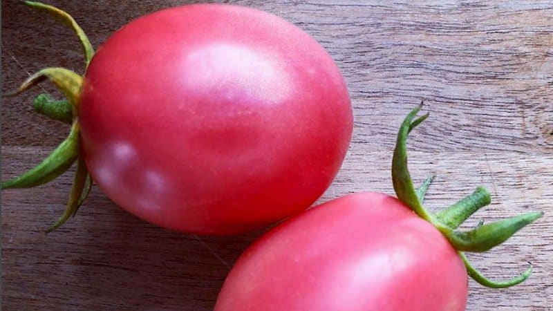 The Pink Cherry tomato is an open-pollinated variety of determinate tomatoes that tastes sweet