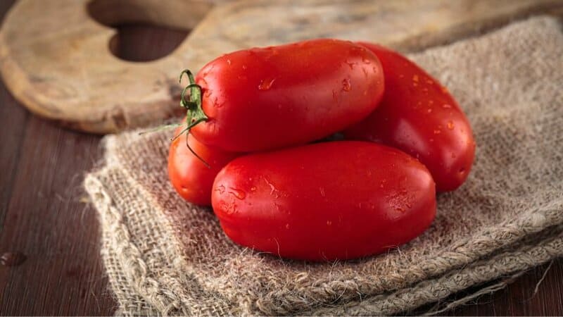 The San Marzano Nano determinate tomatoes are best used for tomato sauces, purees, and smoothies