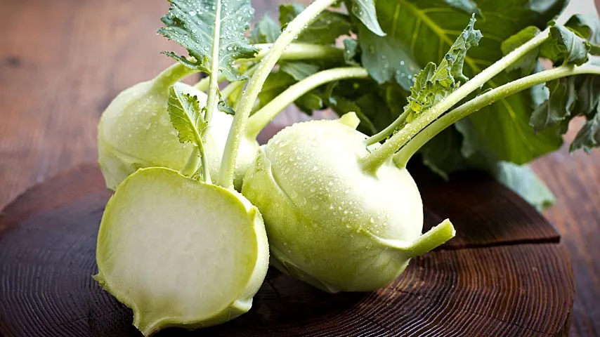 You need to plant Kohlrabi indoors for 4-6 weeks first before growing it outdoors with mint if you want it to thrive