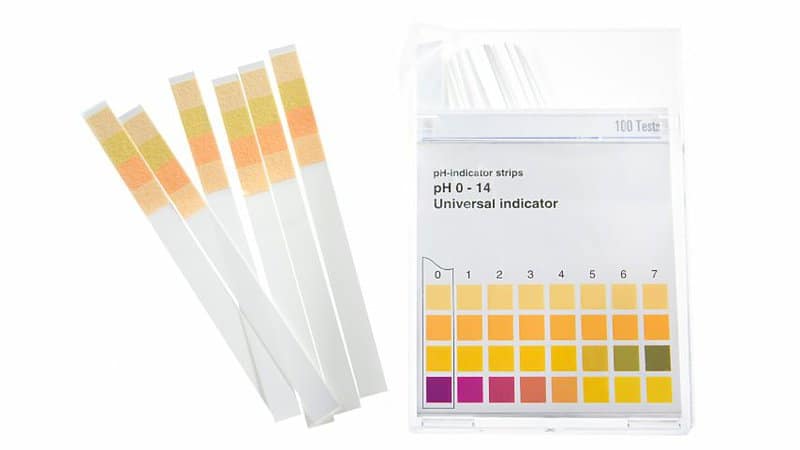 pH indicator strips help ensure that the soil you'll plant the String of Coins into is slightly acidic