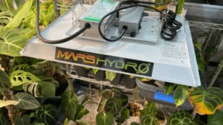Mars Hydro TS 1000 Full Spectrum LED Grow Light Review