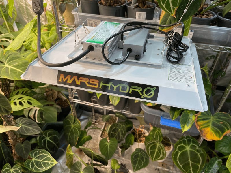 Mars Hydro TS-1000【正規代理店保証付】