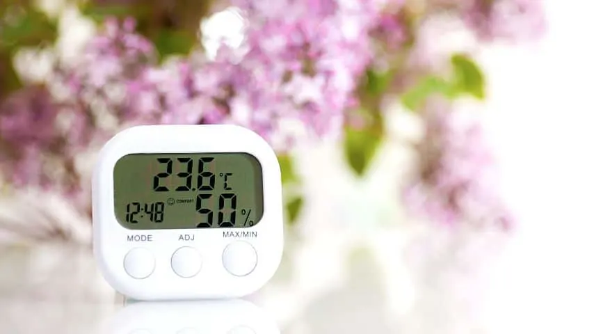 Setting up a hygrometer in the room where you're growing rosemary helps you check the humidity of the air, thereby preventing leaf curling