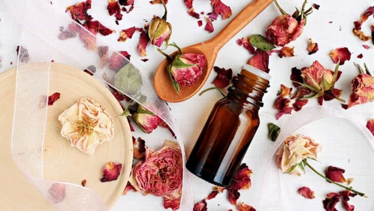 What To Do With Rose Petals? 13 Best Ideas