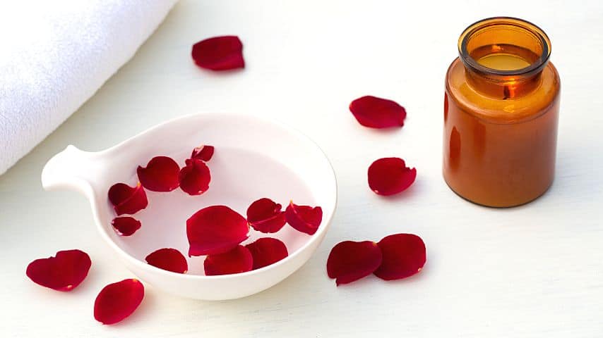 You can make rose water out of the rose petals as part of your skin care routine