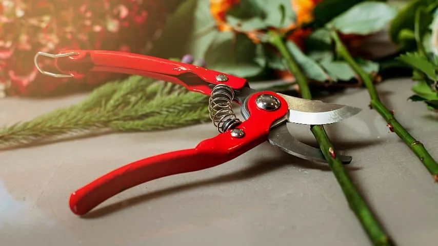 Even if you have already cut the rose, cut its stem at a 45-degree angle and apply rooting hormone to the cut end