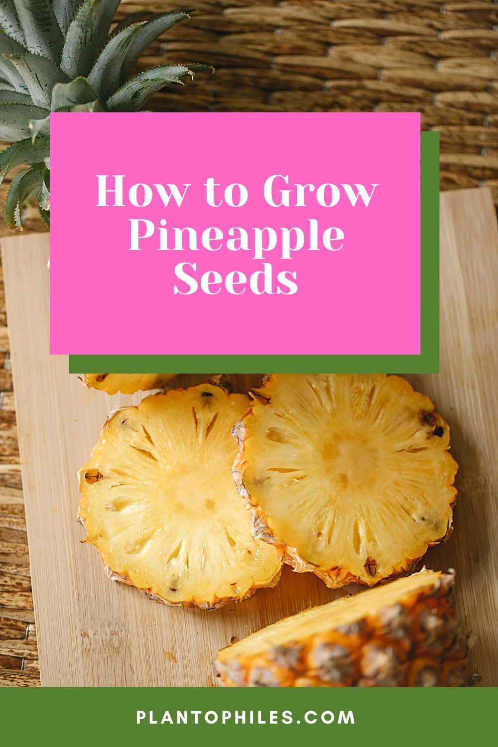 How to Grow Pineapple Seeds