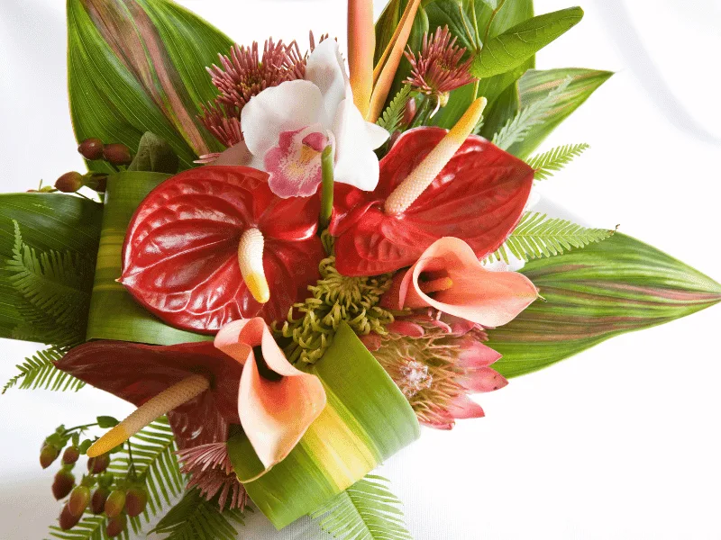 Tropical flower bouquet in vase