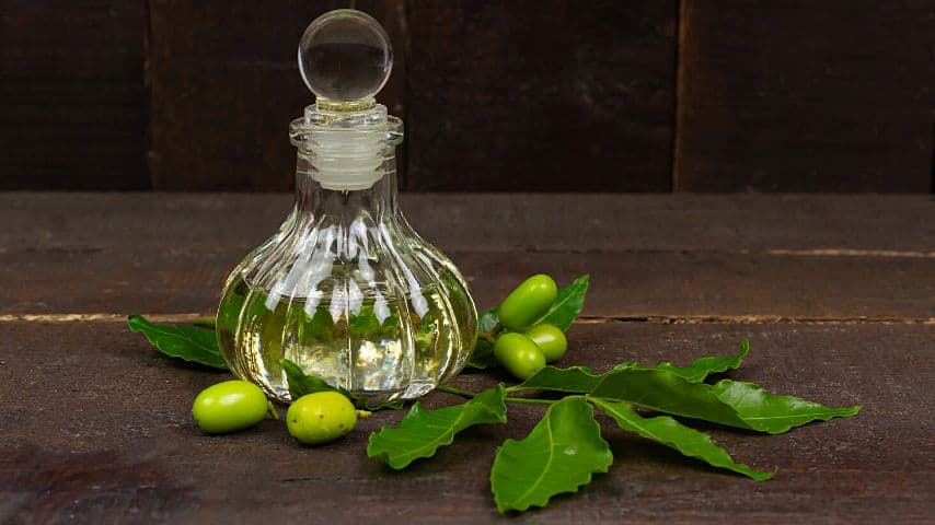 Neem oil is often used as a preventive measure against plant pests, but it can also be used as a disinfectant