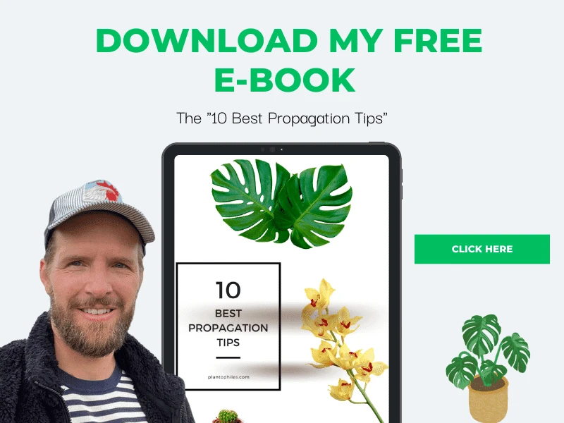 10 Best Plant Propagation Tips Free Ebook