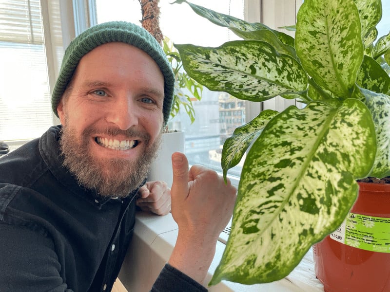 A picture of my Dieffenbachia and me. It sits on the window sill of my office. The window direction is east.