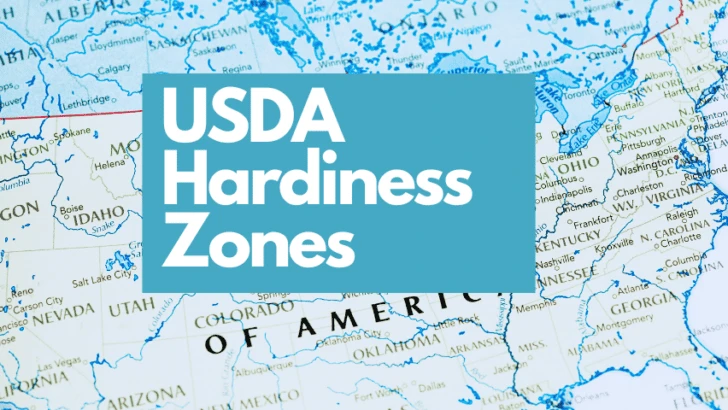 USDA Hardiness Zone By Zip Code – Look Up Tool