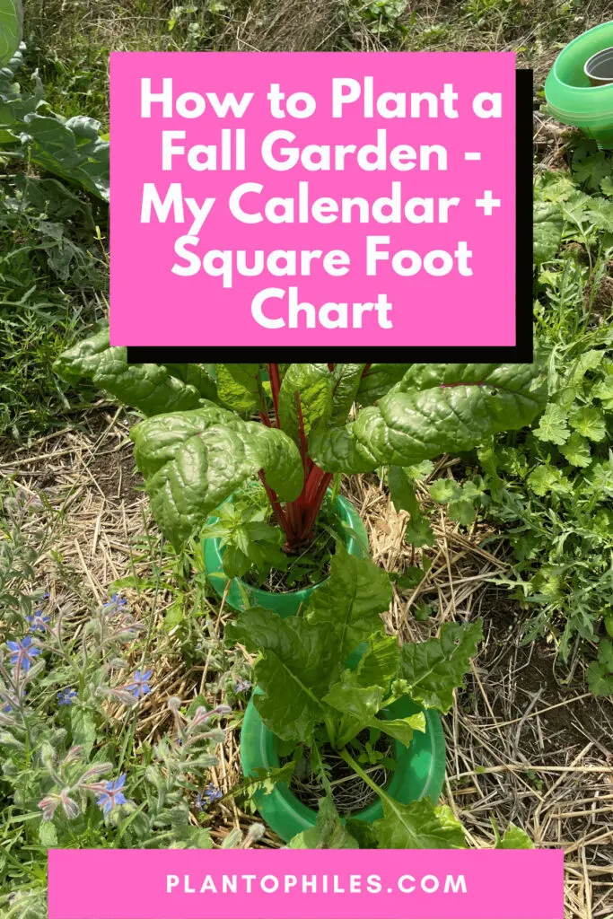 How to Plant a Fall Garden - My Calendar + Square Foot Chart