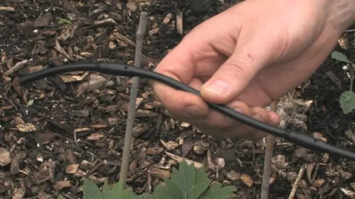 Set It and Forget It: The Lazy Gardener&rsquo;s Guide to Drip Irrigation