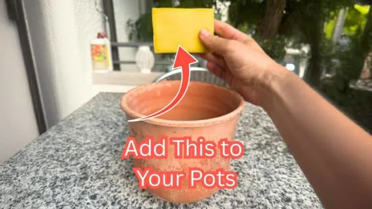 One Tiny Addition That Helps Pots Beat the Heat
