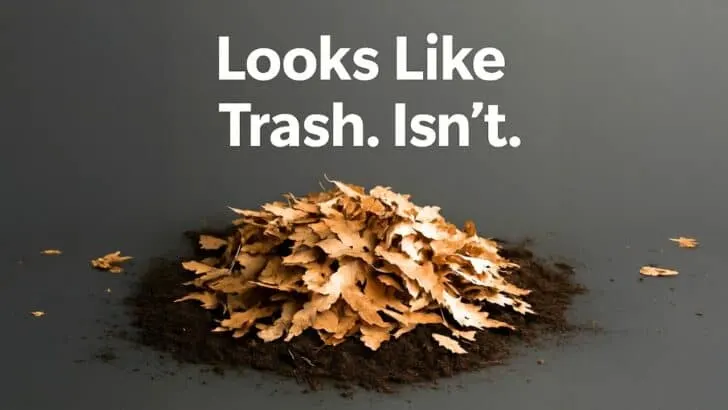 The One Thing You Should Add to Your Soil Every Fall