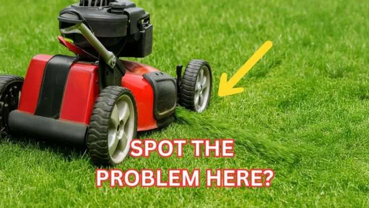 9 Mowing Mistakes That Are Wrecking Your Lawn