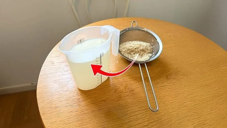 Why Gardeners Are Now Putting Rice Water on Their Plants