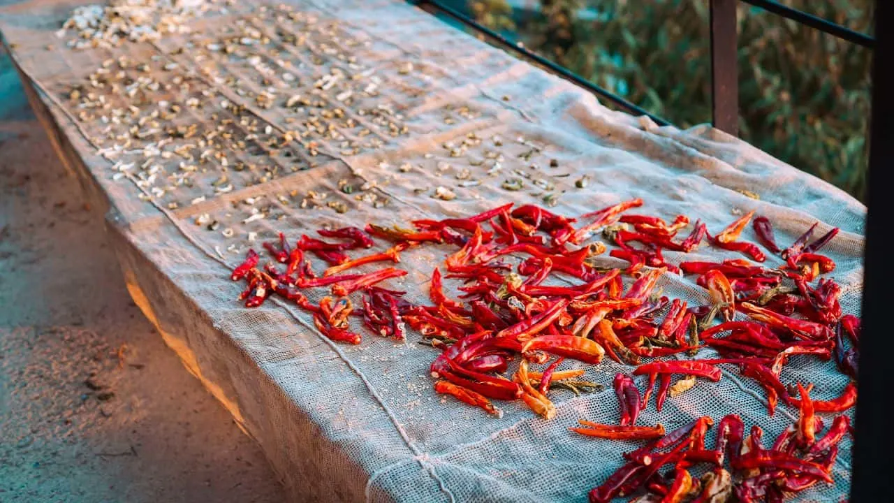 How to Harvest and Store Herbs for Winter Starting in August 4