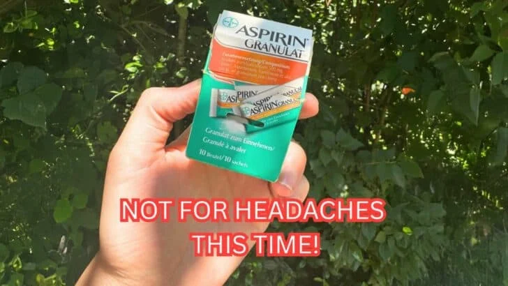 7 Aspirin Tricks That Actually Work in Your Garden