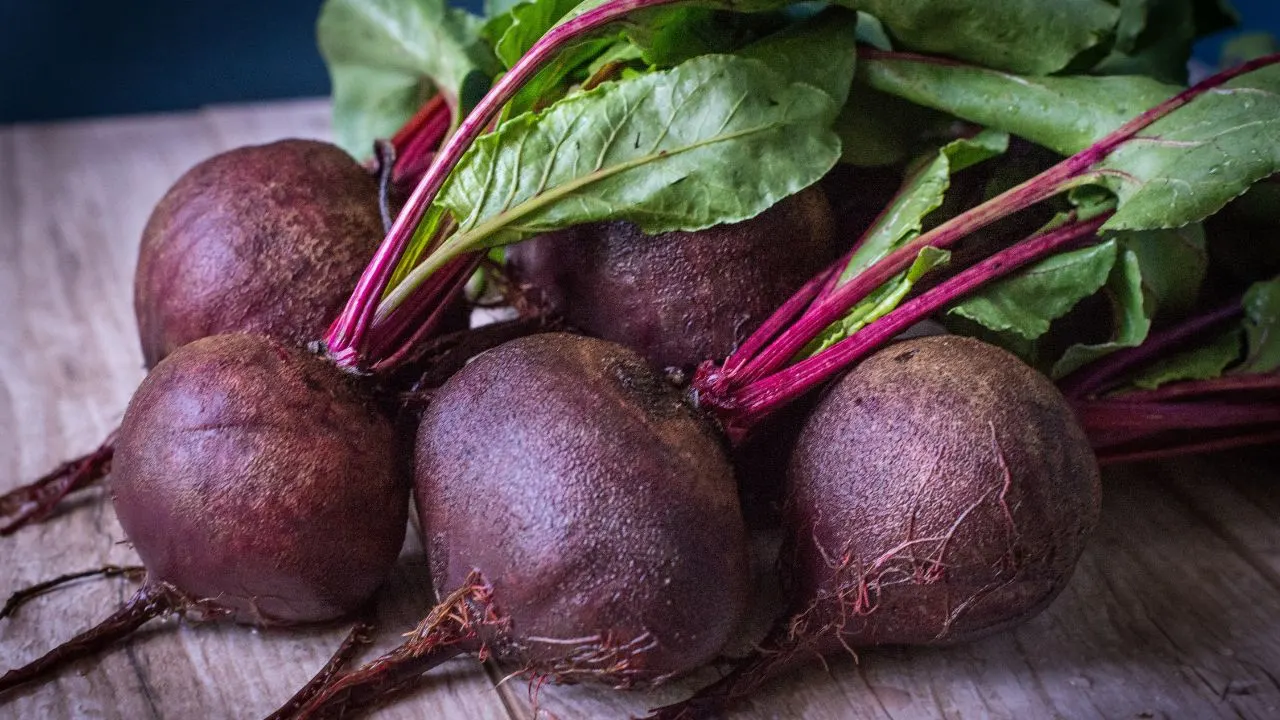 10 Frost-Resistant Veggies to Start in February 8