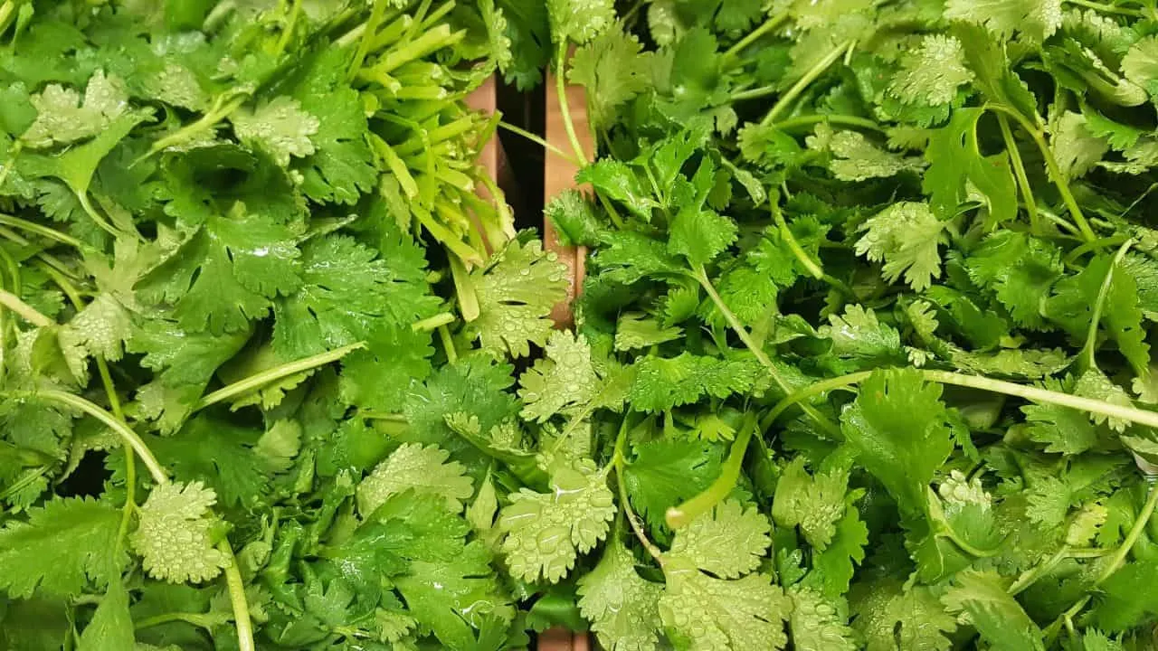 7 Vegetables That Taste Better When You Harvest Them Late 6