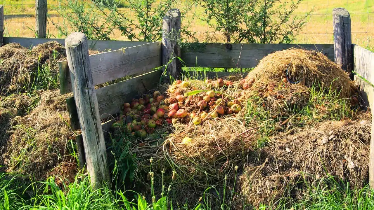 How to Turn August Garden Waste Into Compost Gold 3