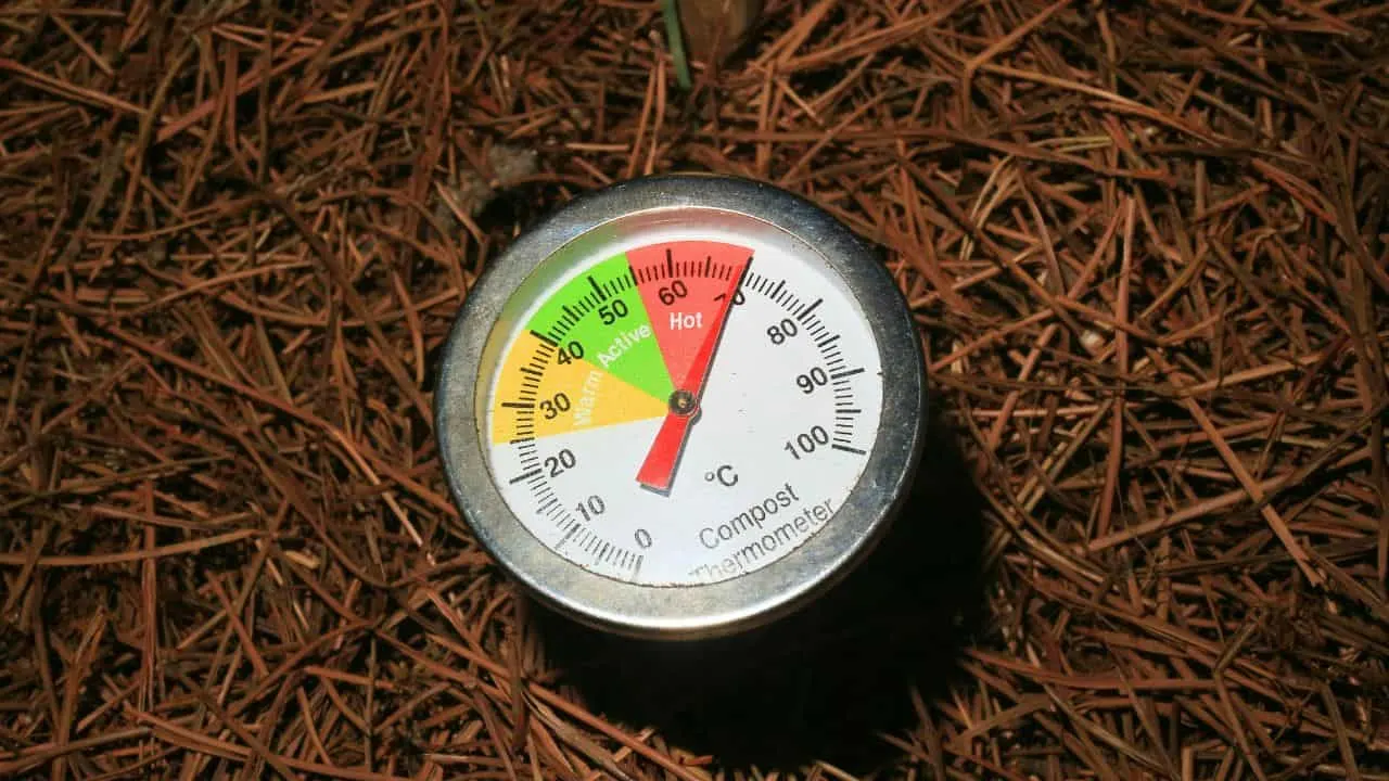 How to Turn August Garden Waste Into Compost Gold 4