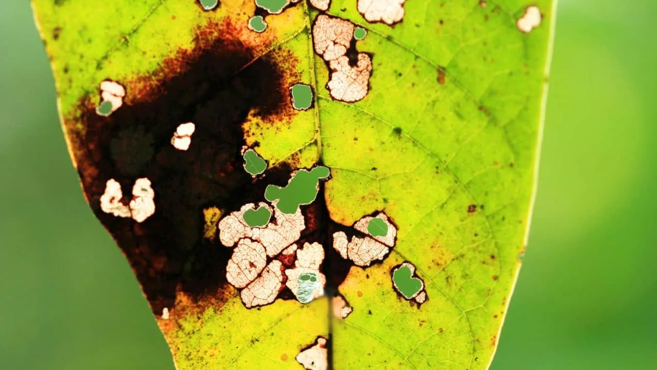 How to Turn August Garden Waste Into Compost Gold 5