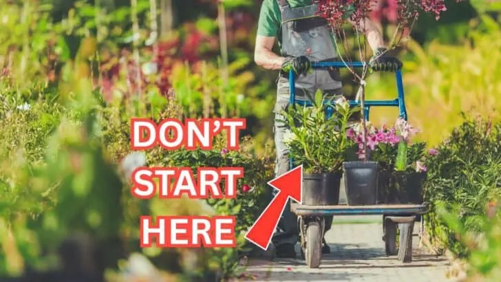 👉 15 Mistakes That Kill Your Garden Early