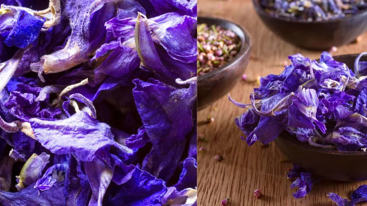 11 Flowers You Should Dry Before Summer Ends 9
