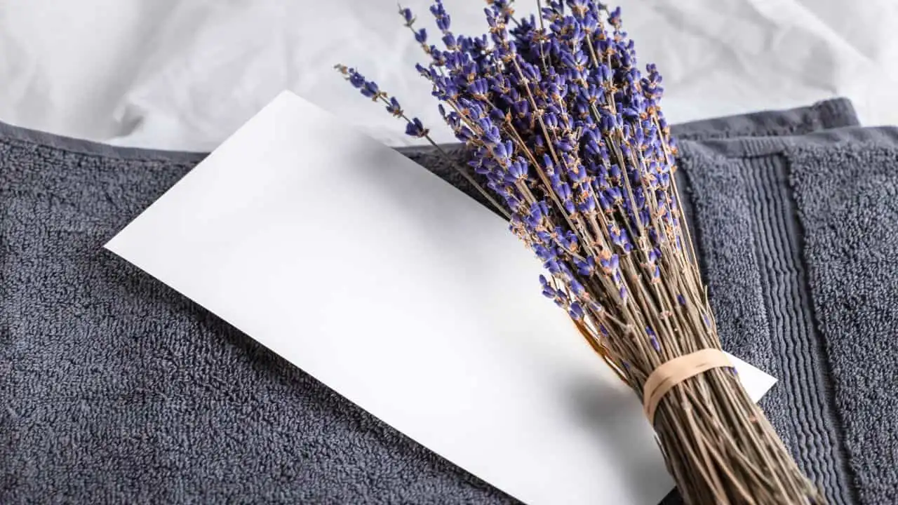 11 Flowers You Should Dry Before Summer Ends 5