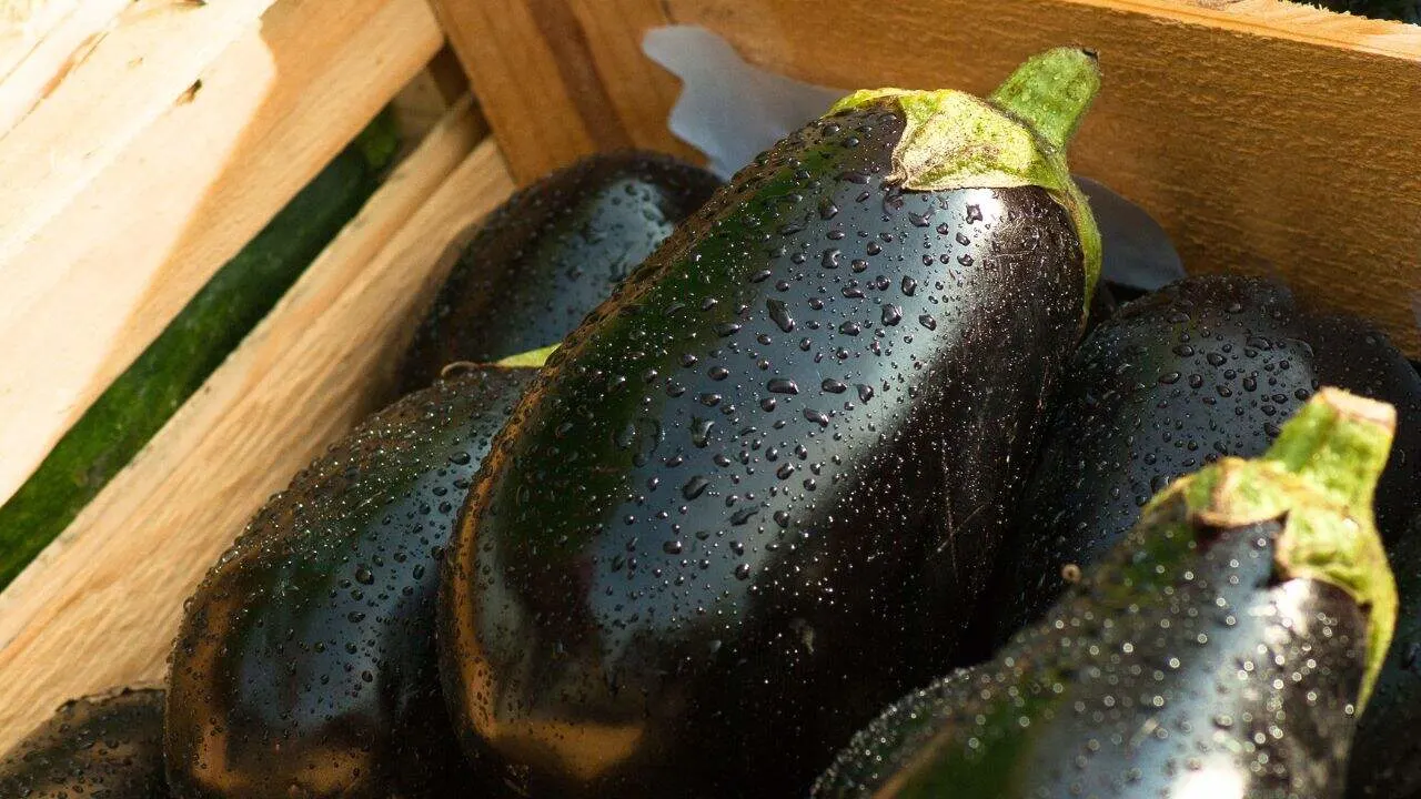 7 Vegetables That Taste Better When You Harvest Them Late 4