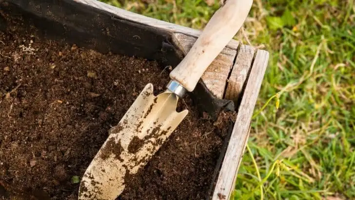 How Garden Beds Age &mdash; and When to Tear Them Down