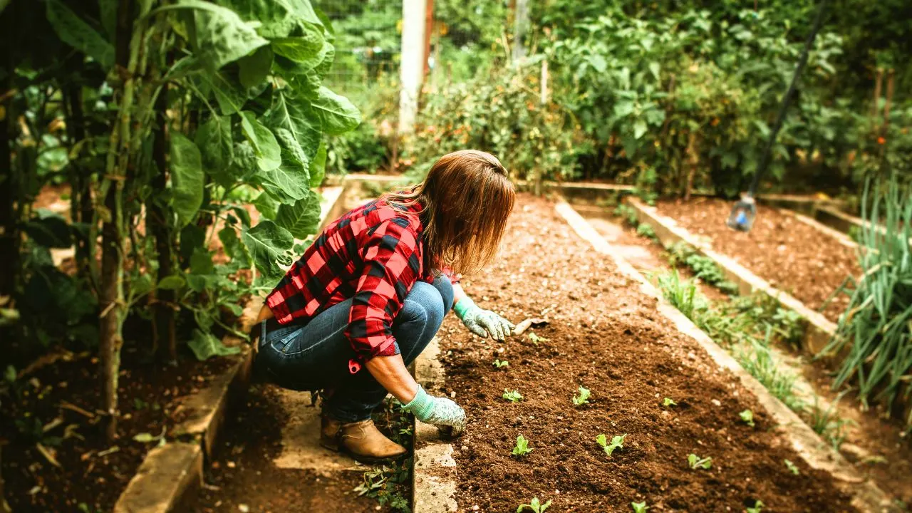 12 Times the Best Gardening Move Is Doing Nothing 7