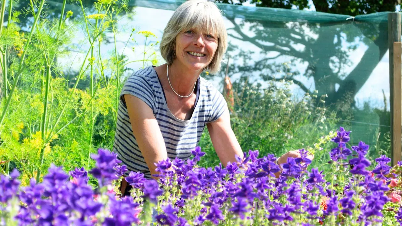 12 Times the Best Gardening Move Is Doing Nothing 8