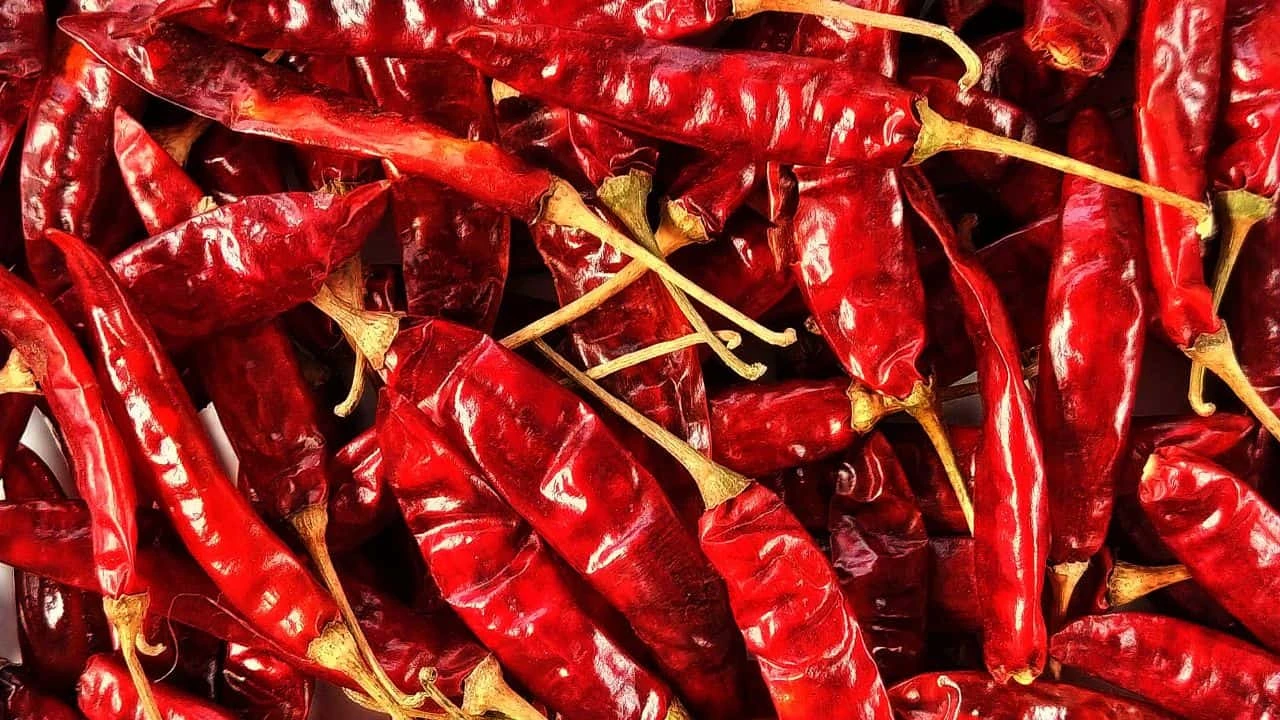 7 Vegetables That Taste Better When You Harvest Them Late 3