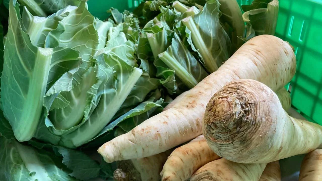 7 Vegetables That Taste Better When You Harvest Them Late 1