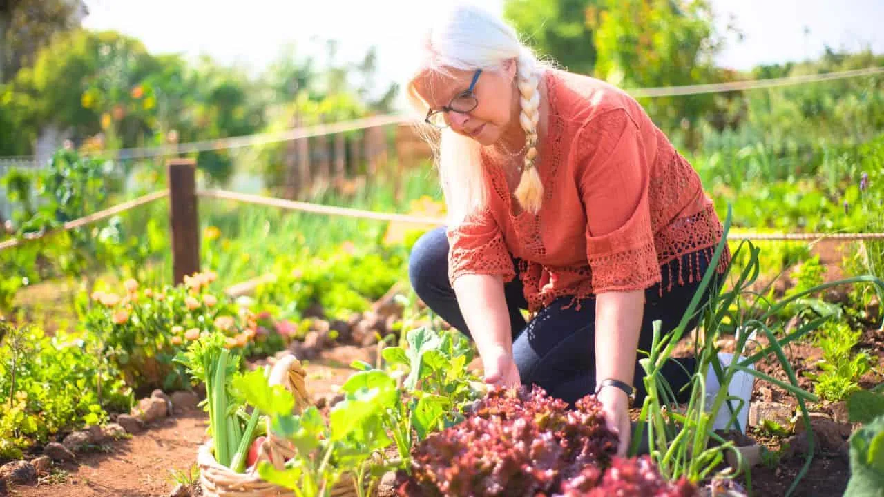 11 Gardening Tasks You Shouldn&rsquo;t Be Doing After 65 7
