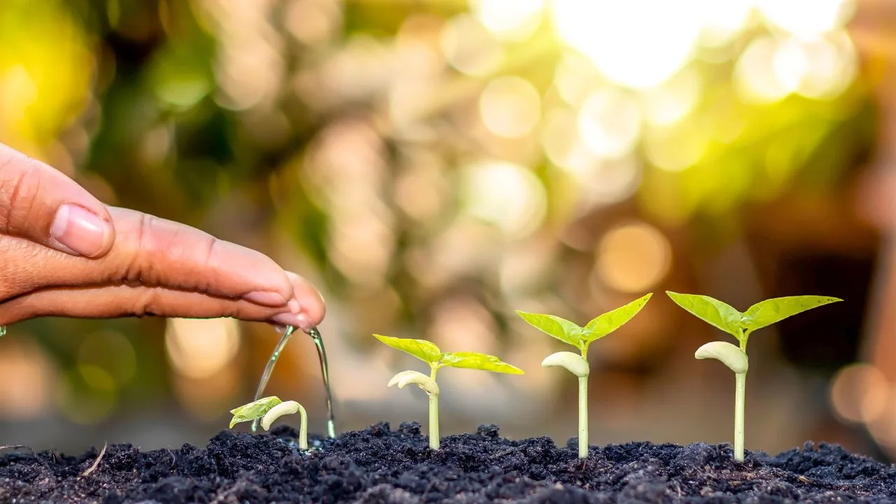 12 Times the Best Gardening Move Is Doing Nothing 5