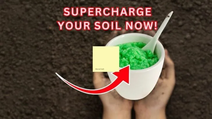 10 Soil Tricks That Make Fall Crops Explode With Growth