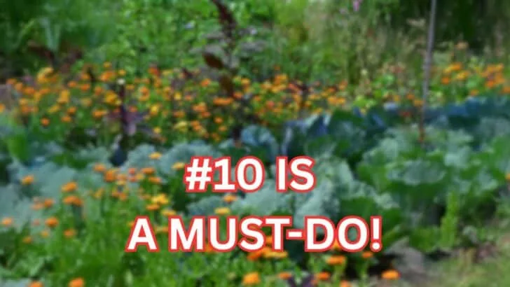 10 Things You Should Rip Out of Your Garden This Weekend