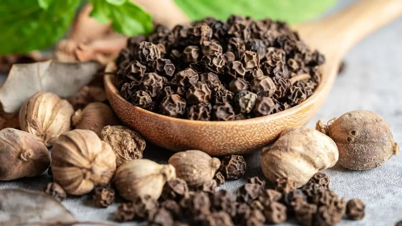 7 Spices That Do More in the Garden Than in Your Kitchen 5